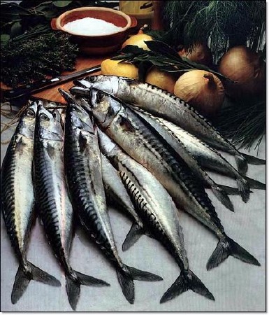 Скачать Хорошая кухня - Рыба и морепродукты бесплатно