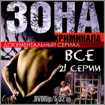 Зона криминала - Все 21 серии (DVDRip) скачать бесплатно