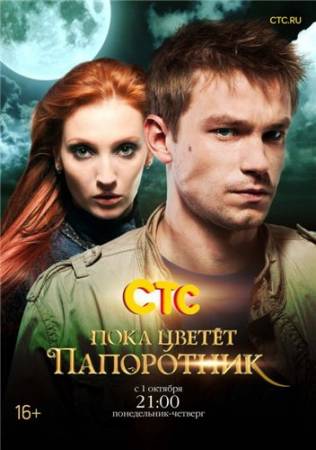 Пока цветет папоротник - Все 13 серий (2012) скачать бесплатно