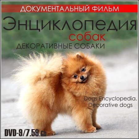 Энциклопедия собак. Декоративные собаки (DVD9) скачать бесплатно