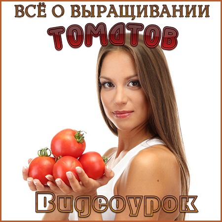 Видеоурок «Всё о выращивании томатов» (2010) DVDRip скачать бесплатно