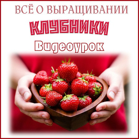 Видеоурок «Всё о выращивании клубники» (2011) DVDRip скачать бесплатно