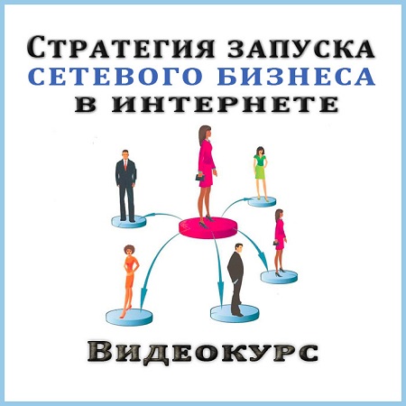 Стратегия запуска сетевого бизнеса в интернете (2013) Видеокурс скачать бесплатно